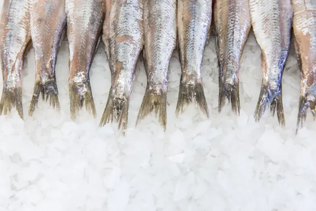 Fullres Den Dulk 0092